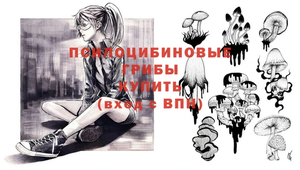 мет Покачи