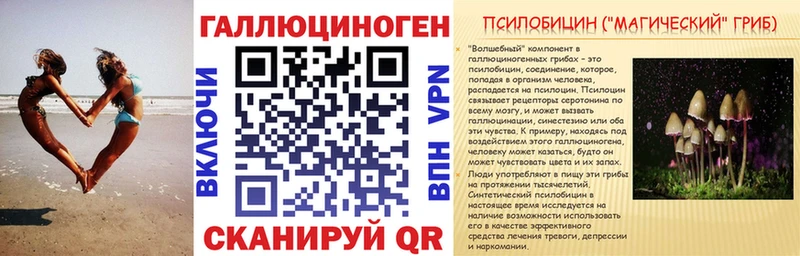Псилоцибиновые грибы мицелий  Нея 
